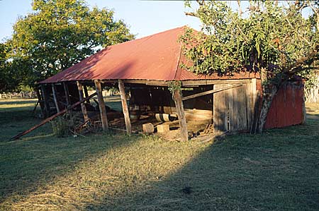 slab walled shed with leaning posts